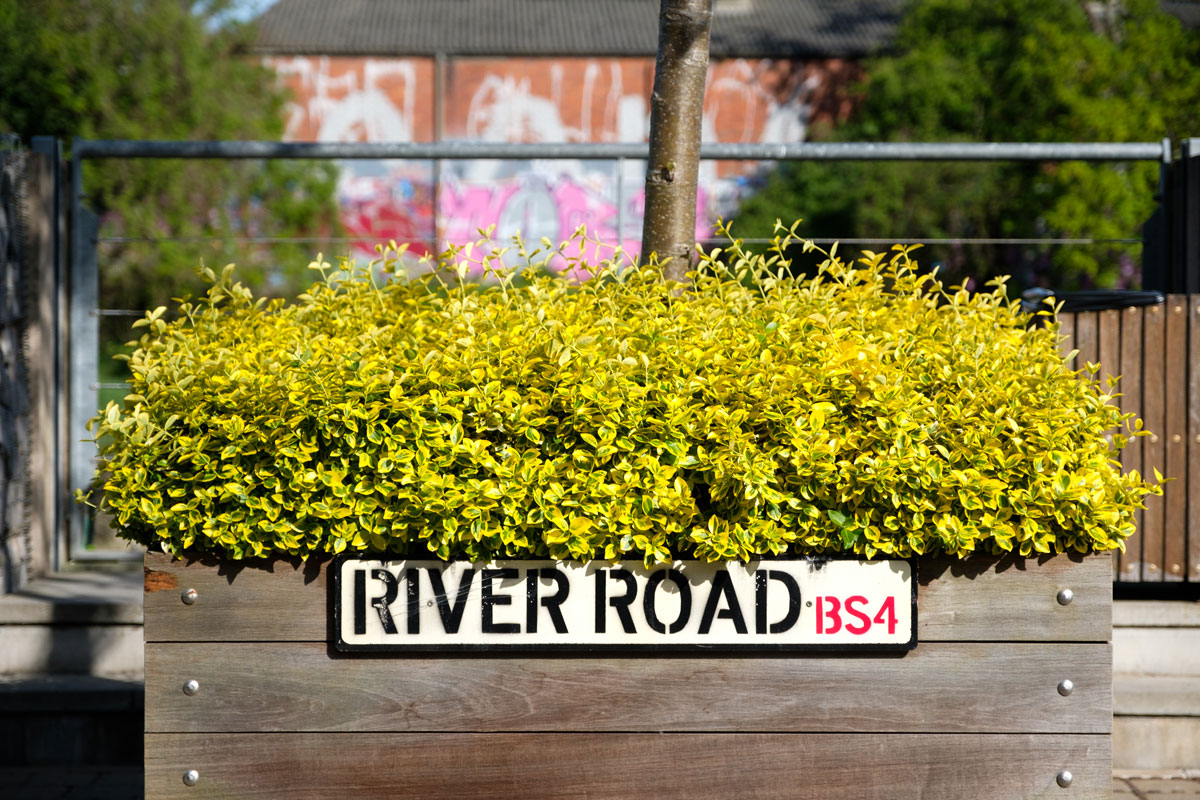 Bright leaves in planter with 'River Road' sign, 