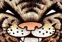 ScaryCat Studio